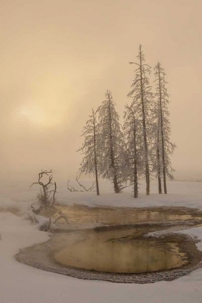 USA, Wyoming, Yellowstone NP Foggy winter scenic
